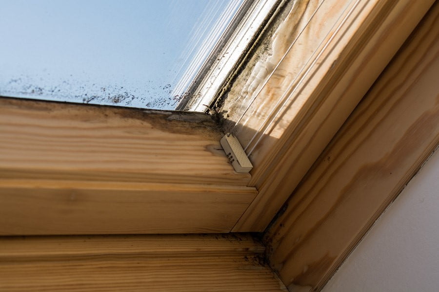 Skylight Leaks Skylights