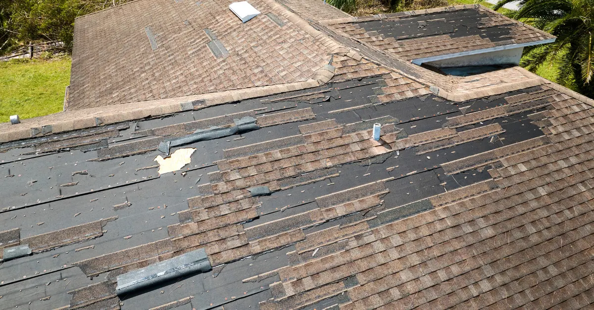 bird shingles