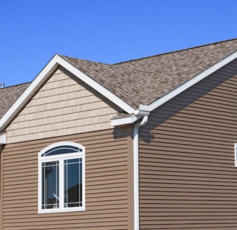 How to Clean Pigeon Poop