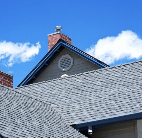 How to Clean Bird Poop in Attic