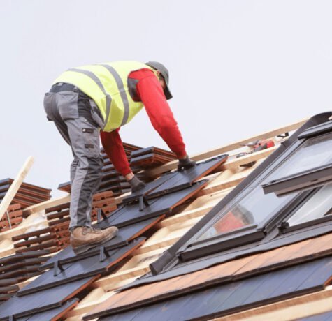 How to Clean Bird Poop