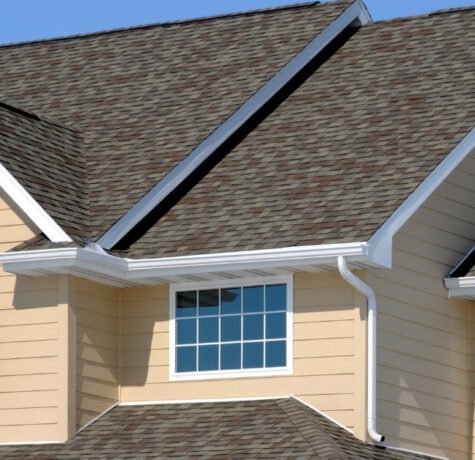 how to repair bird poop damage