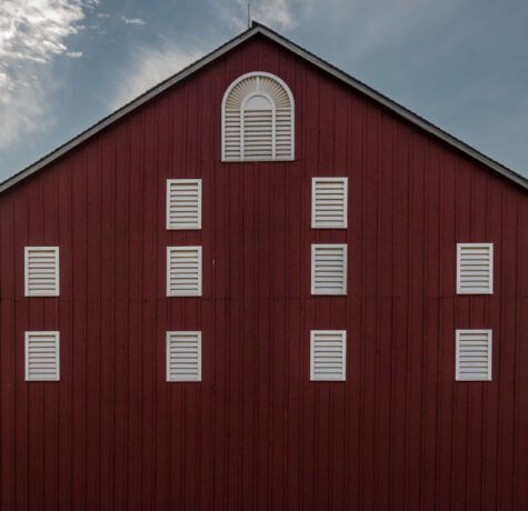 How to Remove Dried Paint from Vinyl Siding