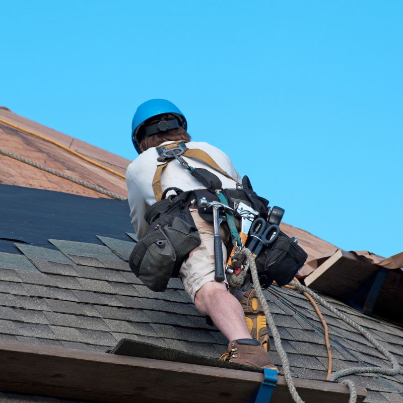 Roof Maintenance